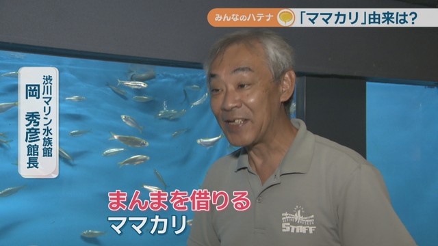 渋川マリン水族館／岡秀彦 館長
