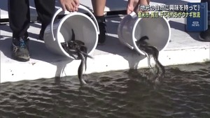 「地元の自然に興味を」子ども達がウナギの幼魚放流　宮城登米市・長沼