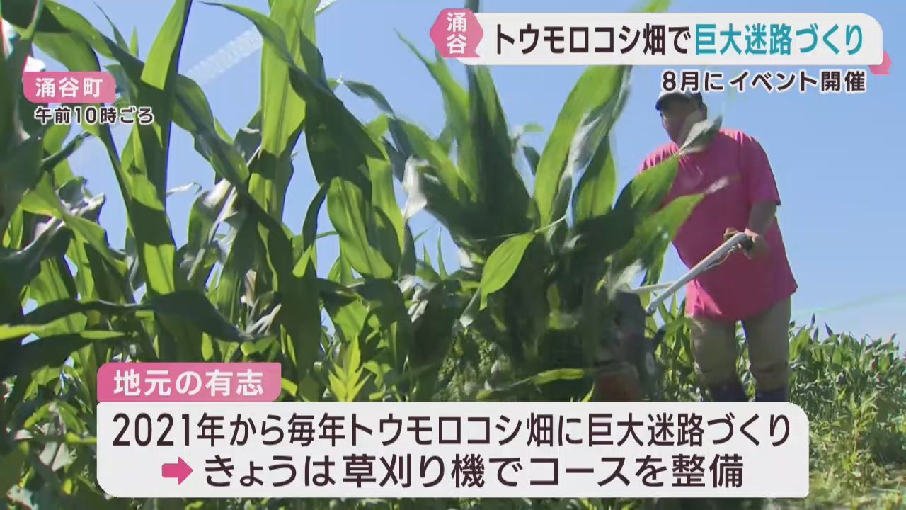 夏休みを前に　トウモロコシ畑の巨大迷路を整備　宮城・涌谷町