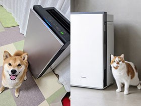 ペットのニオイ対策は『ジアイーノ×サブスク』！　お得な定額利用サービスでお悩み解決