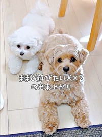 ママと遊びたい子が倍になった！（左から）ちろちゃん、まおくん（画像提供：まお ちろさん）