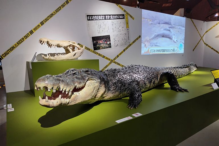 巨大標本にワクワク グッズも楽しい特別展「超危険生物展 科学で挑む