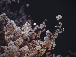 どんな人であれ、私を救ってくれたあなたに伝えたい「ありがとう」