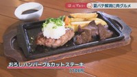 おろしハンバーグ＆カットステーキ　1749円