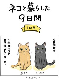 【漫画】『ネコと暮らした9日間』1（イゴカオリさん提供）