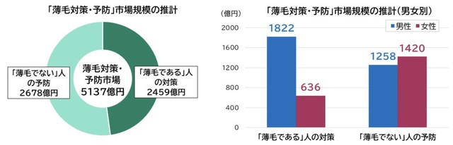 薄毛対策・予防市場規模の推計（提供画像）