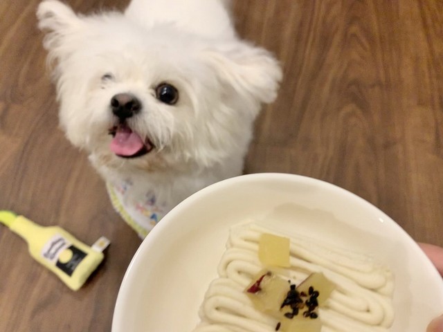 バースデーケーキのてっぺんにも！お芋がのっています！（かわいいぬさん提供）