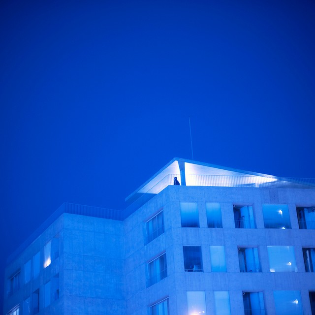 写真・図版