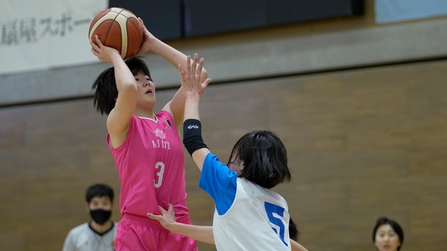 ミニドッグス―秋田ノーザンハピネッツ