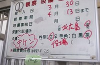 そのワンコがいる檻近くの壁のボードには「キケン」の文字がありました