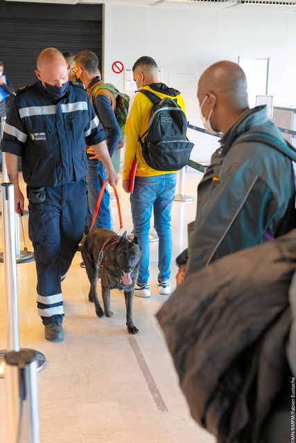 南仏マルセイユ空港で5月、到着客が新型コロナに感染していないか調べる探知犬=マルセイユ消防隊提供
