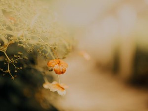 真っ白な職務経歴書。嘘だって吐く。私が一番こわいのは「自分」