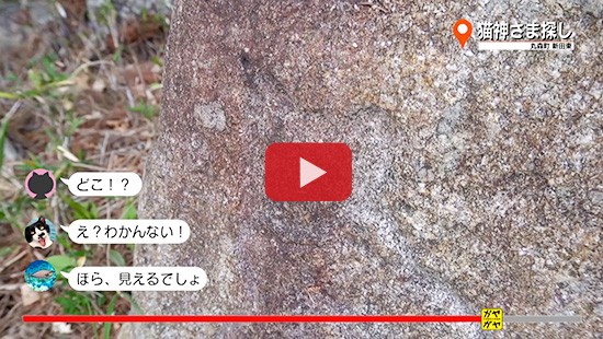 #294丸森町 猫神さま探し④