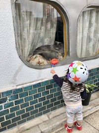 「くろいの、こんにちは」（提供：ほそいあや さん）