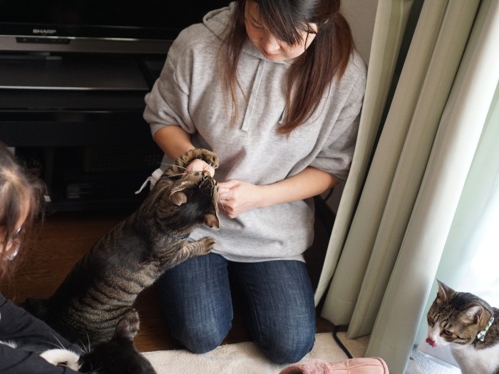 千鶴代ママにおやつをねだるタルト君