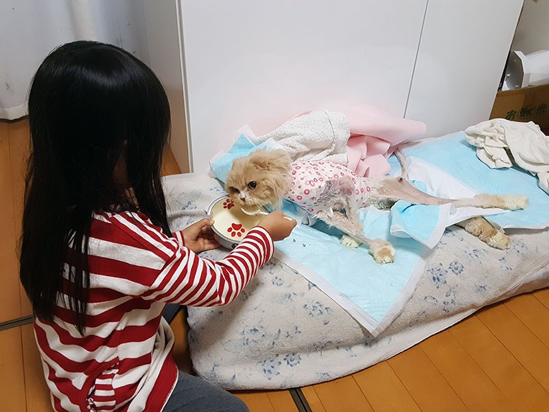 お子さんもうにの看病に参加していたそう（半田さん提供）