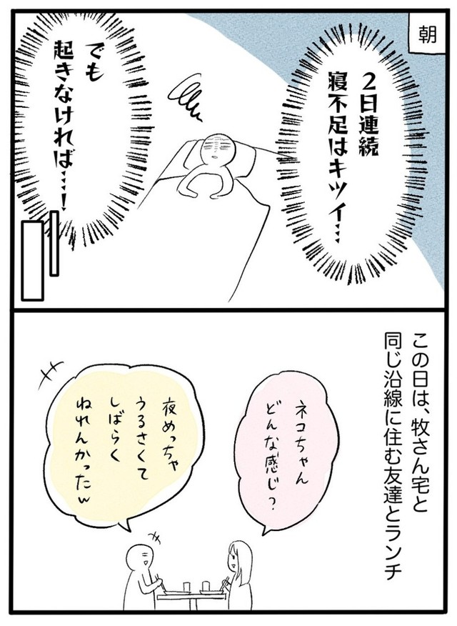 【漫画】『ネコと暮らした9日間』30（イゴカオリさん提供）