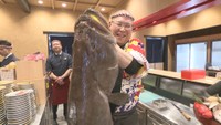“幻の高級魚” クエ　回転寿司店で解体ショー　30kg超…「別次元の大きさ」　岡山市