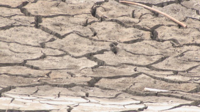 早明浦ダム　高知・土佐町