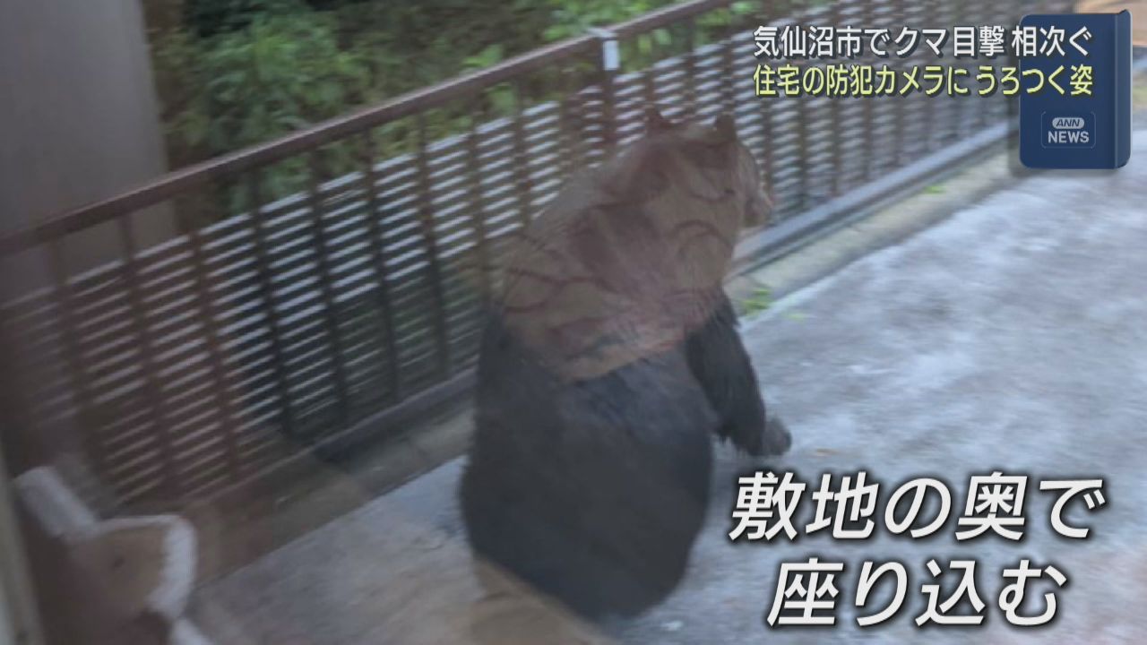 宮城・気仙沼市でクマの目撃が相次ぐ　箱わなを設置