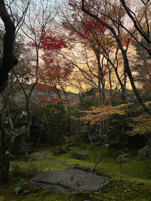 「今日も世界中の人々が笑顔て過ごせますよう。」という文言とともに投稿された朝焼けの景色。境内の澄み切った空気が伝わってきます（画像提供：高台寺岡林院）