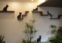 エントランスにもネコが
