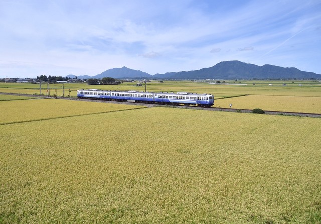 （こけだま写真館さん提供）