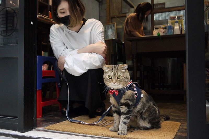 スタッフの高橋さんと一緒にお散歩