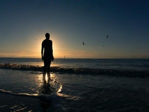 「本能」の人への片思い。「安定」の人と結婚した後も、終わっていない