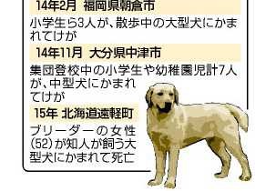 飼い犬のかみつき防止　子どもがいる時は目を離さないで！