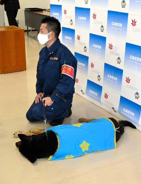 取材対応中に寝転ぶドン号=2021年5月14日午後1時34分、広島東署、松尾葉奈撮影