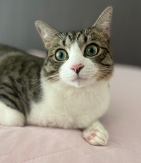 お手てがエビシュウマイ♡
