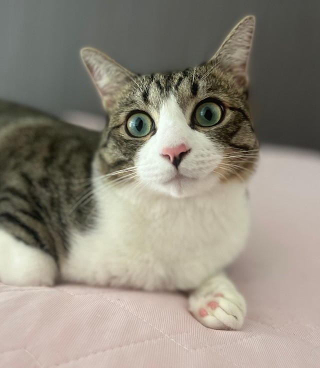 お手てがエビシュウマイ♡
