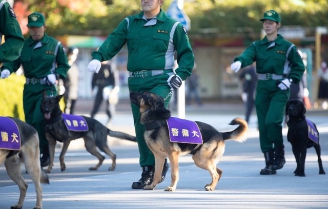 １頭だけうっきうき！」警視庁の式典で行進した犬さんが超楽しそう