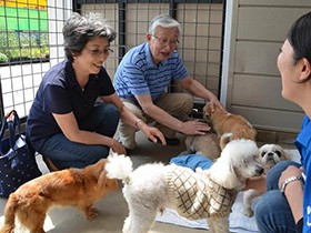 老犬、最期はホームで　「飼い主と同じ愛情で」　つくばに施設