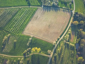 休学をして気づいた「地元の魅力」。ふるさとに誇りを持つことの大切さ