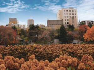 言葉も忘れた、海の向こうの「ふるさと」は、それでも私の中にあった