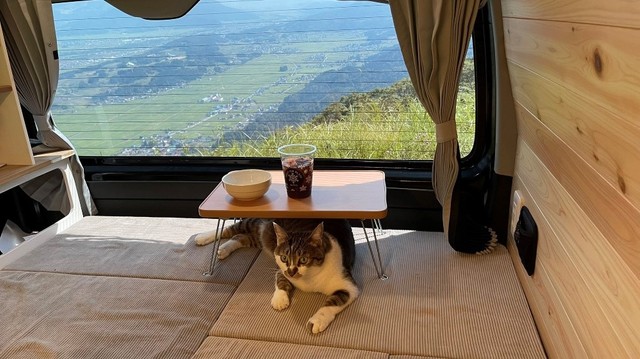 車中泊中は布団へ入ってきてくれることも