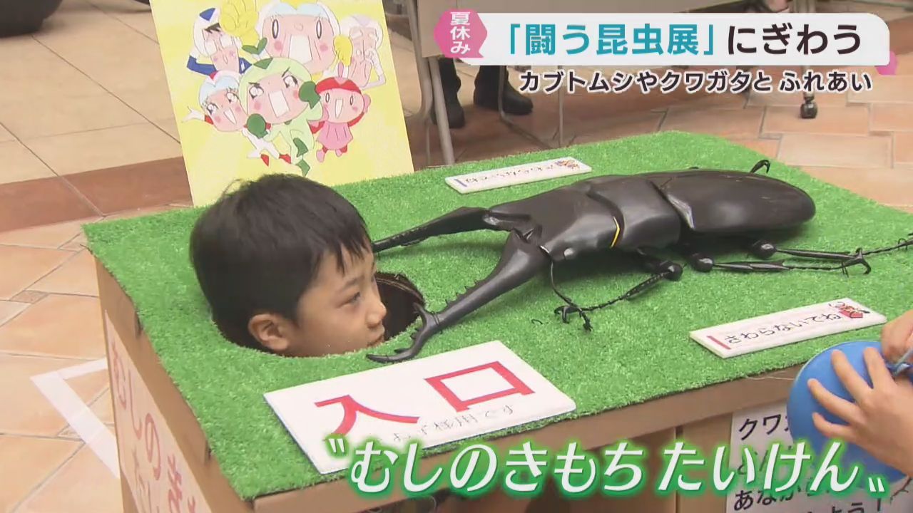 ヘラクレスオオカブトに触れる！「闘う昆虫展」仙台で親子連れに人気
