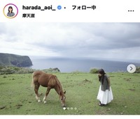 原田葵アナウンサーのインスタグラム＠harada_aoi_
より