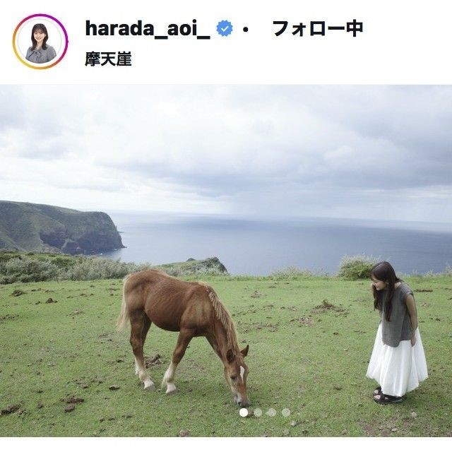 原田葵アナウンサーのインスタグラム＠harada_aoi_
より