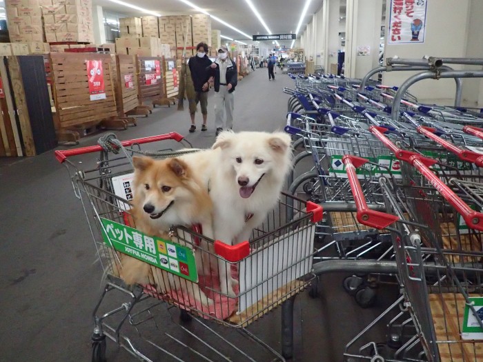 ジョイフルホンダでお買い物