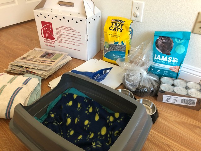 必要なものはすべて保護施設が用意してくれた