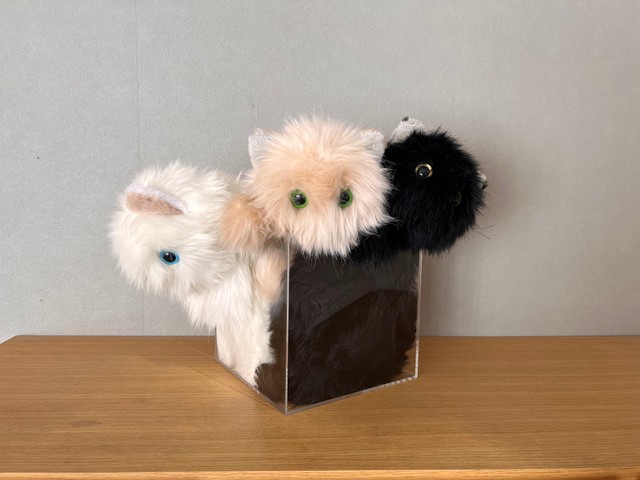 容器に収まる猫のぬいぐるみ