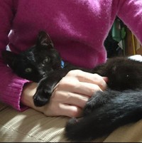 甘えん坊っぷりを発揮＝gatita_himawariさん提供