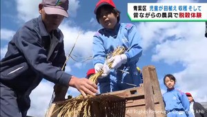 児童が昔ながらの農具で自ら収穫した稲を脱穀　仙台・青葉区の小学校