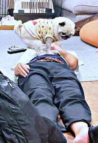 「パパ、おかえり！」お腹の上でステップを踏むモナカちゃん（画像提供：KaKoAさん）