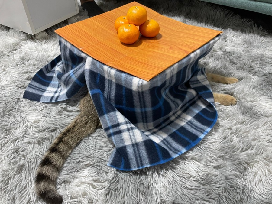あったかいにゃ〜」ミニサイズのコタツでまったりする猫さんが可愛いと