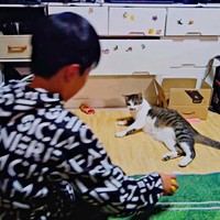 お兄ちゃんがボールを投げるとーー（画像提供：井上 えりさん）