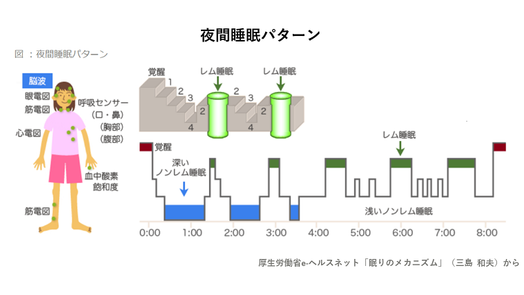 睡眠の質をあげるには? 深い眠りのカギを握るのは脳の温度